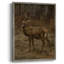 «Vintage Animal Print», reproduction encadrée LVII - bois massif-1819608767