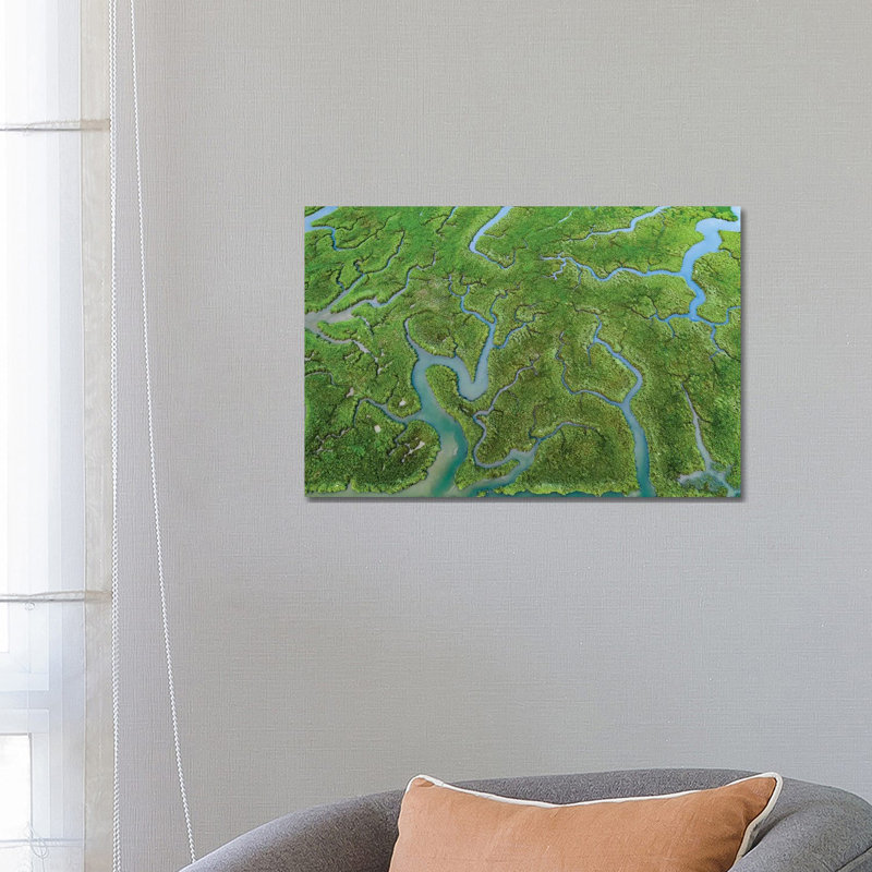 Nature's Patterns II by Adam Burton - Wrapped Canvas Print, 66.04 cm H x 45.72 cm W x 1.91 cm D
