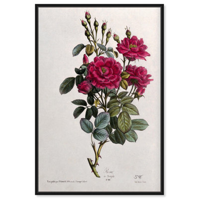 Art Remedy, impressions sur toile, chuchotements de la rose