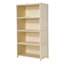 4 - Door Rectangle Accent Cabinet