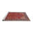 Oriental Indoor Rug-1997146524