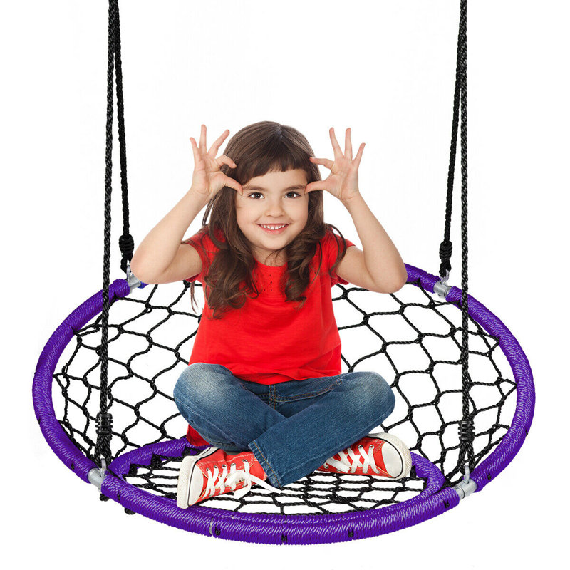 Freeport Park Trevino Web / Saucer Swing Swing Seat, Purple