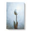 Solitary White Tulip - Wrapped Canvas-56658931
