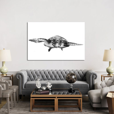 White And Turtle 1 Piece Wrapped Canvas Wall Art