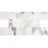 Calacatta 6X12 Polished Marble Subway Tile