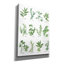 «August Herbe» par Chris Paschke-72011117