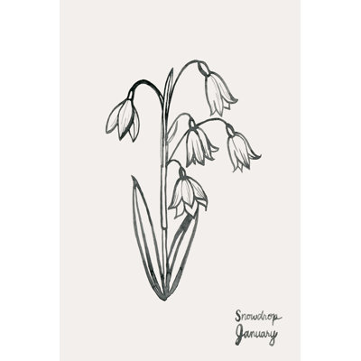 Fleurs Annuelles I