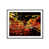 Black Framed Paper selected