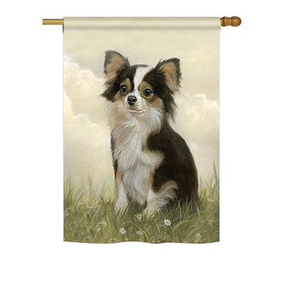 Chihuahua nature quotidienne animaux à 2 côtés polyester 40 x 28 po drapeau maison