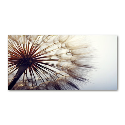 Dandelion - Wrapped Canvas Print
