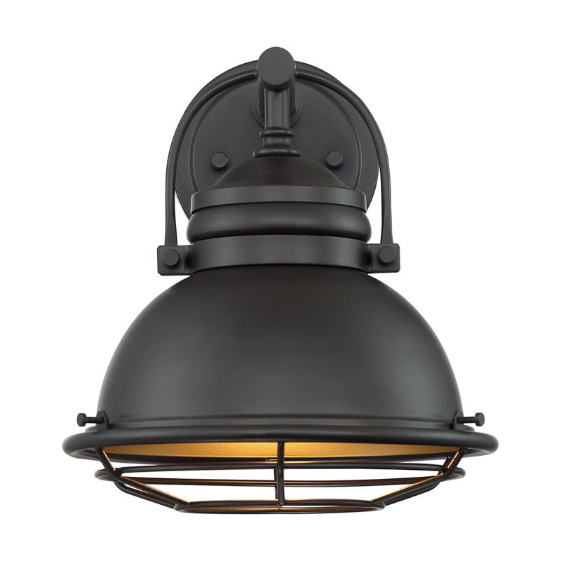Luminaire de grange d'extérieur à 1 ampoule Ankur, H 11 po x l 9,75 po x P 10,5 po, Bronze foncé / Or, Bronze