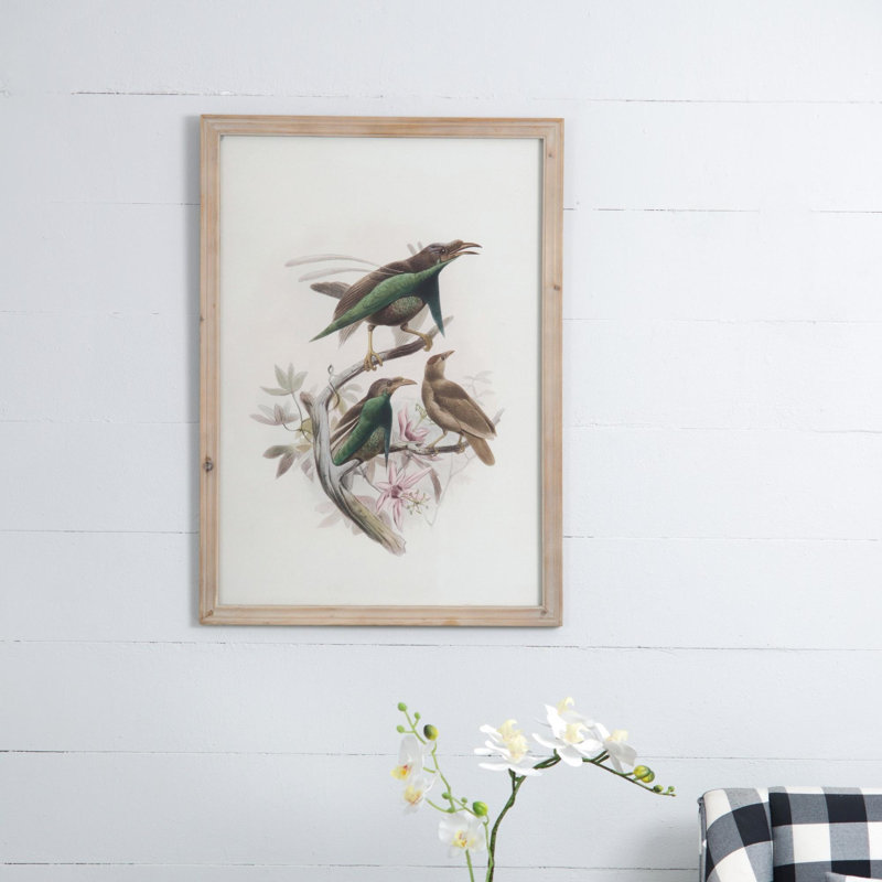 Oiseau, reproduction encadrée
