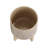 S/2 5/8" MESH PLANTER W/ STAND, TAN