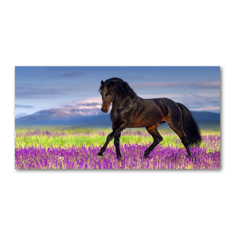 Horse On The Lavender Field - Wrapped Canvas Print