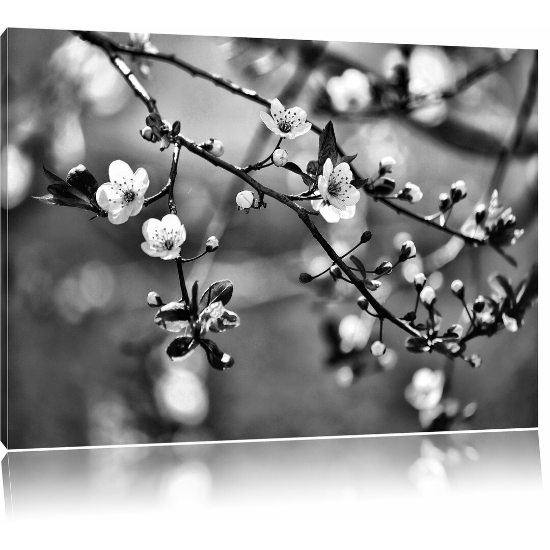 Leinwandbild Exotische Sakura Blüten in Monochrom