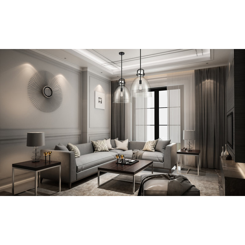 Luminaire suspendu 1 lumière Badillo, Clair, H 18,25 po x l 14 po x P 14 po, Noir mat