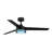 Pura 52'' Ceiling Fan with LED Lights-1246686947