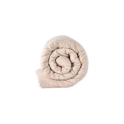 Organic Cotton Standard Comforter