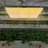 LED Plants Dimmable Grow Light 