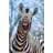 Laughing Zebra by Catherine Withers-Clarke - Wrapped Canvas Print-1837705397