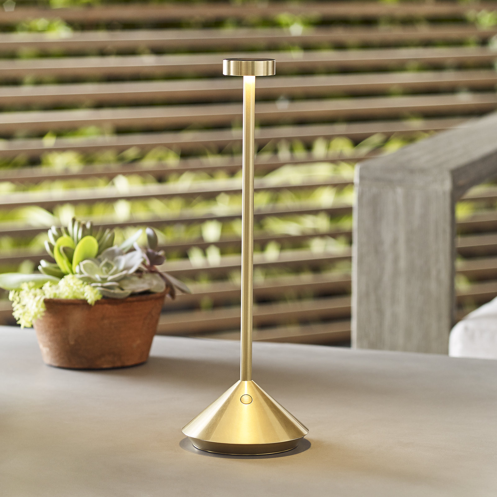 Moneta Novelty Lamp, Natural Brass