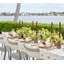 Dreamweaver Placemat-1078582324