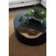 Cornered Solid Coffee Table