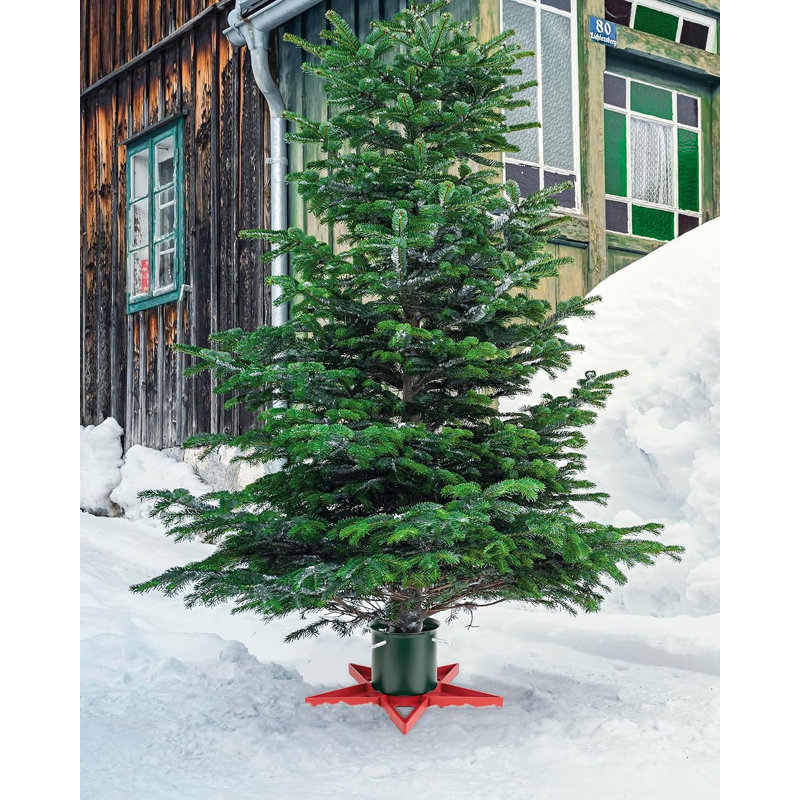 For Trees Up to 8' Tree Stand