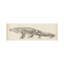 Reproduction d’art sur toile « alligator sketch » par Ethan Harper-54030357-119721450-54030378