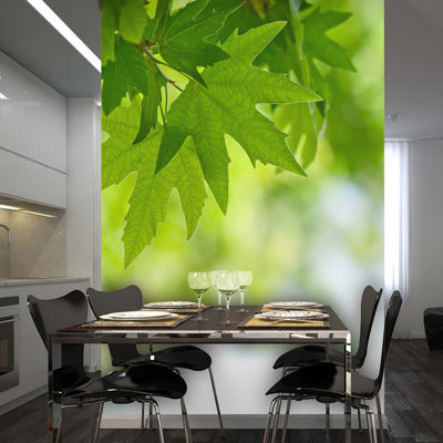 Leaves (Shallow Focus) 1.54m x 200cm Wallpaper