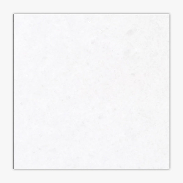 12'' W x 12'' L Marble Singular Tile