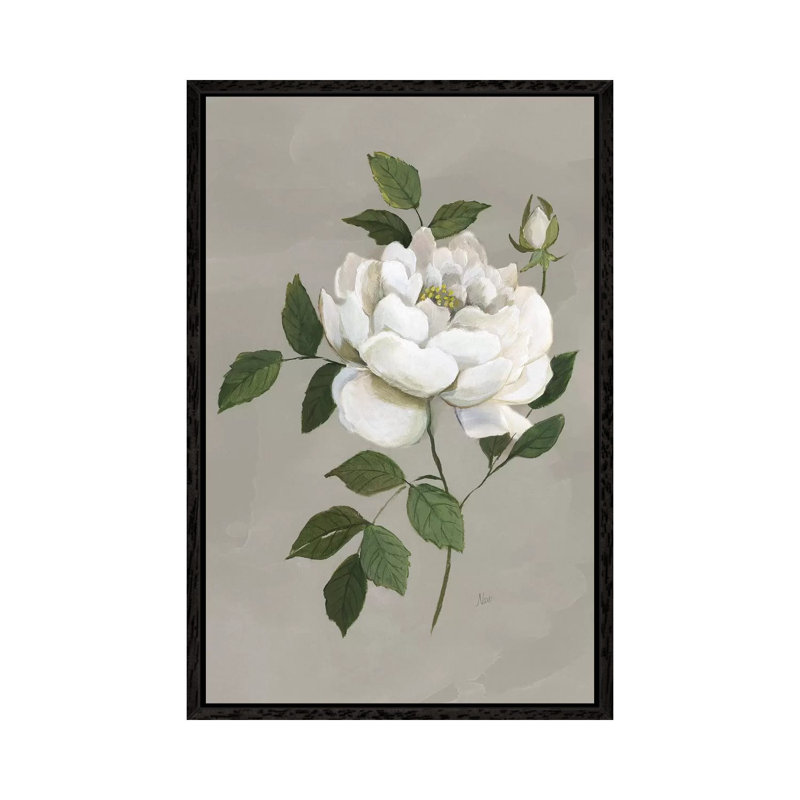 Botanical Rose by Nan - Print on Canvas, Black Framed, 152.5 cm H x 101.5 cm W