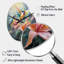 «Tropical Flowers with Beautiful Bird - Birds Of Paradise», horloge murale de forme irrégulière, horloge murale traditionnelle asymétrique-105484268
