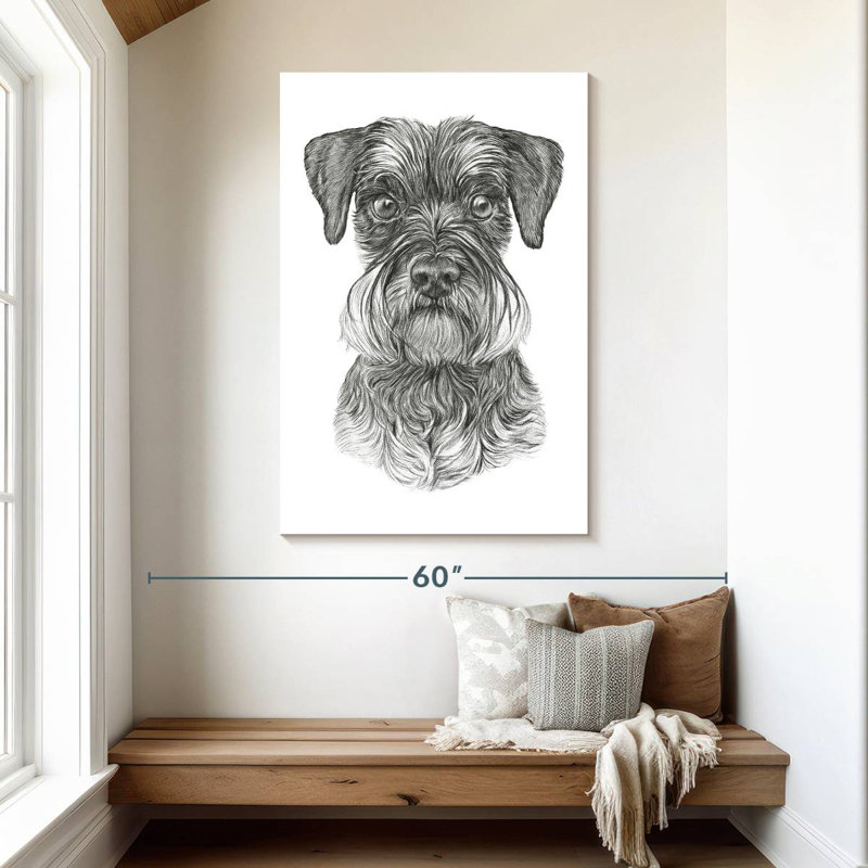 Schnauzer Brampt, H 48 po x l 32 po
