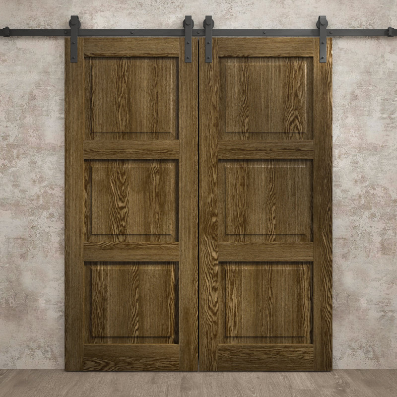 Porte de grange double moderne | Ego 5010 | Ensemble de rail | Portes intérieures solides, Chêne marbré, 36 po x 96 po