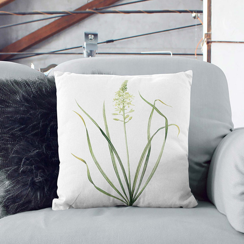 Wild Asparagus Flowers by Pierre-Joseph Redoute Cushion with Filling, 40cm H x 40cm W x 15cm D, Stone