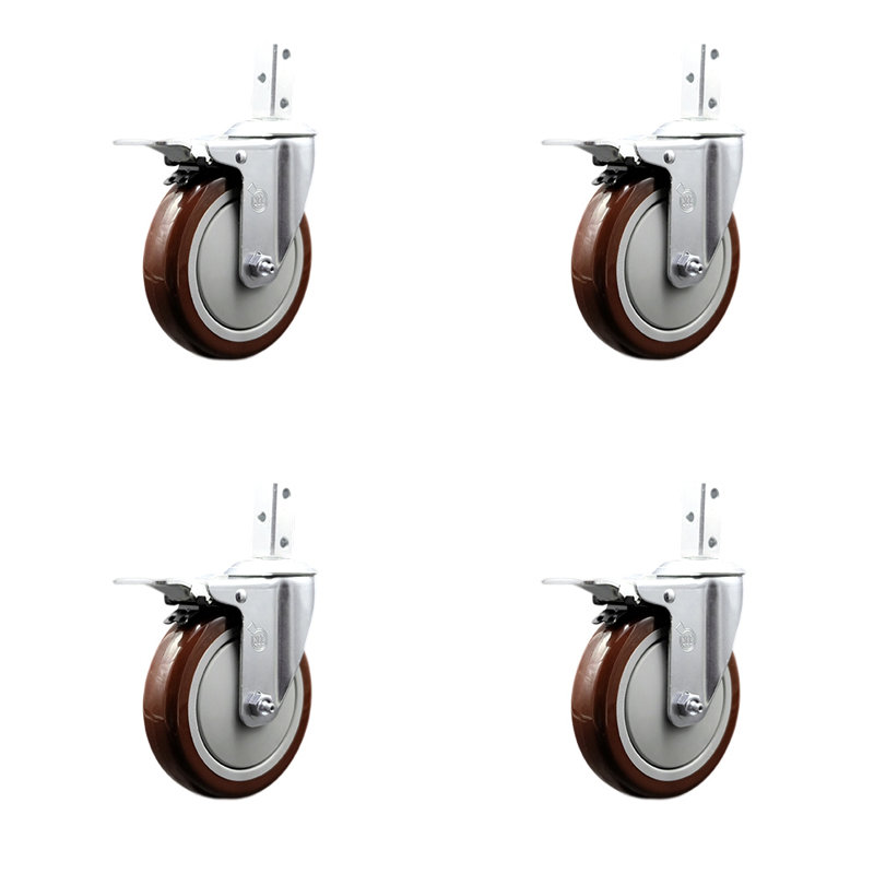 Poly roulette, Marron