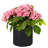 Anielka 10-Piece Plastic Nursery Pot-207067853