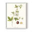 Passion Passion Trio II, reproduction encadrée - bois massif-311096770-311096765