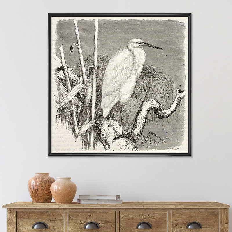 Petit oiseau aigrette - reproduction de dessin sur toile, H 30 po x l 30 po x P 1 po, Cadre noir