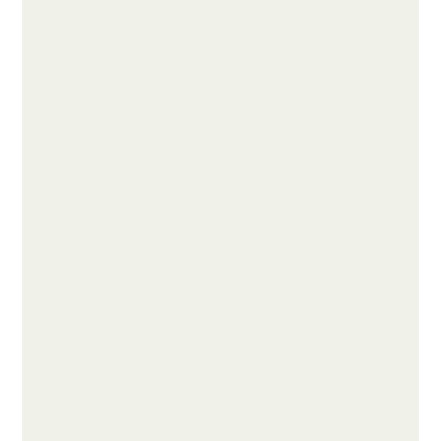 Rouleau de papier peint L 33 pi x l 20,87 po Arv Sten