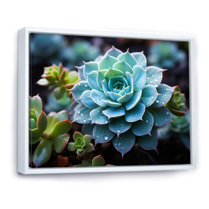 Bleu succulent serein, Cadre flottant blanc, H 12 po x l 20 po x P 1 po