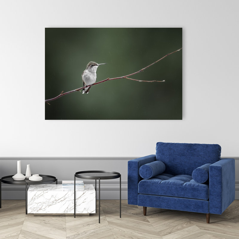 Solitary Hummingbird In Rain Delicate Peaceful Serene Hummingbird Bird Nature Wildlife Wall Art Print by Atul Saluja - Print