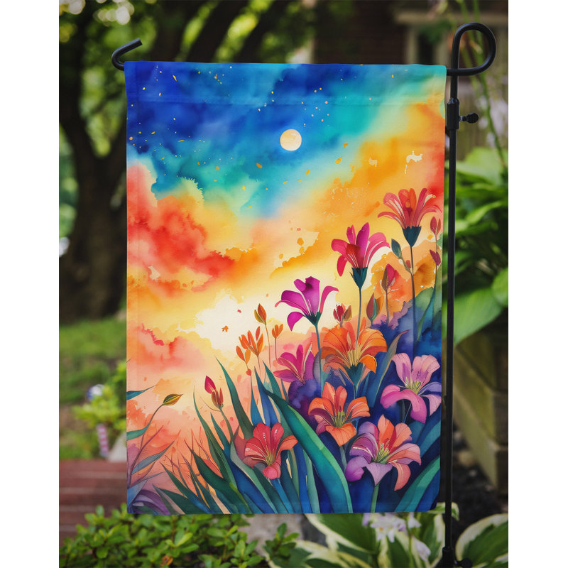 Drapeau de jardin double en polyester H 15,5 po x l 11,25 po