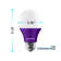 60 Watt Equivalent Purple A19 E26/Medium (Standard) LED Bulb