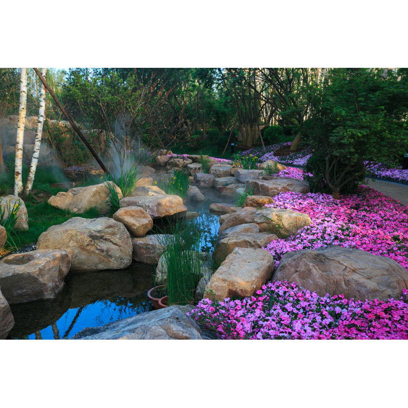 Aquatic Garden In A Home Backyard, by 00one - No Frame Print on Canvas, 20cm H x 30cm W