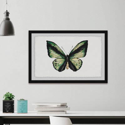 Vert forêt-papillon-impression sur papier