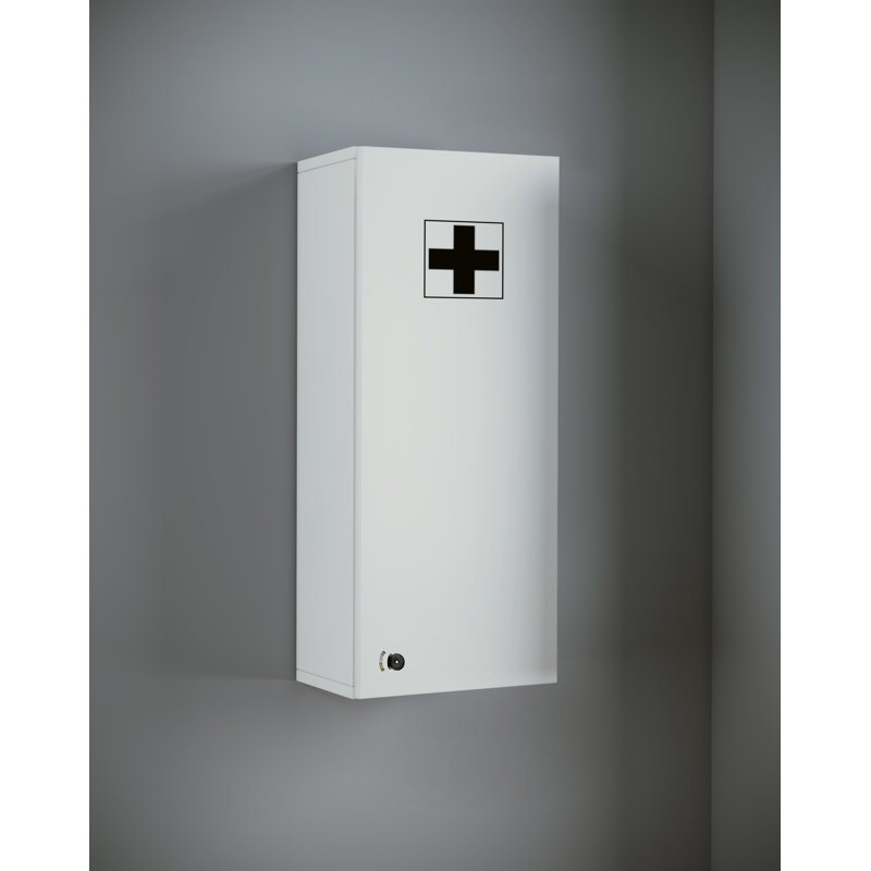 Quispe Mirrored Medicine Cabinet
