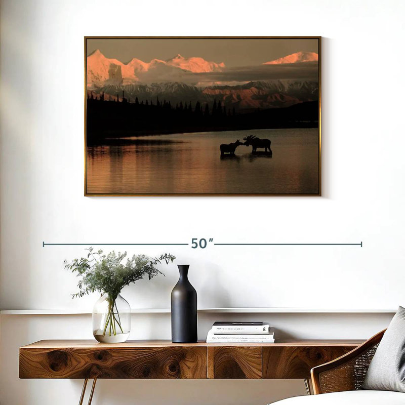 Courting Moose In Wonder Lake, Cadre flottant doré, 37 po x 25 po