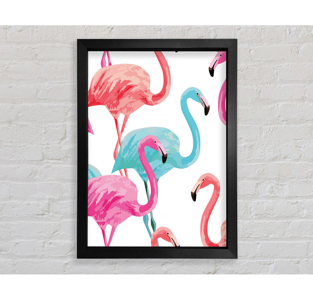 Flamingo Colours - Einzelne Bilderrahmen Kunstdrucke